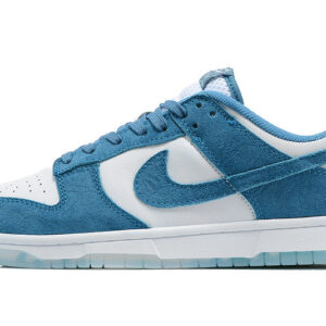 Nike Dunk Low "Blue-White"