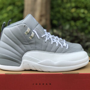 Jordan 12 Stealth