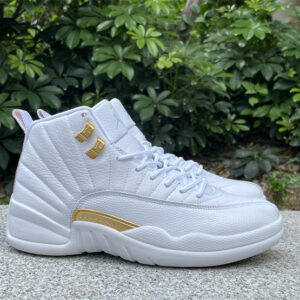 Jordan 12 Phantom
